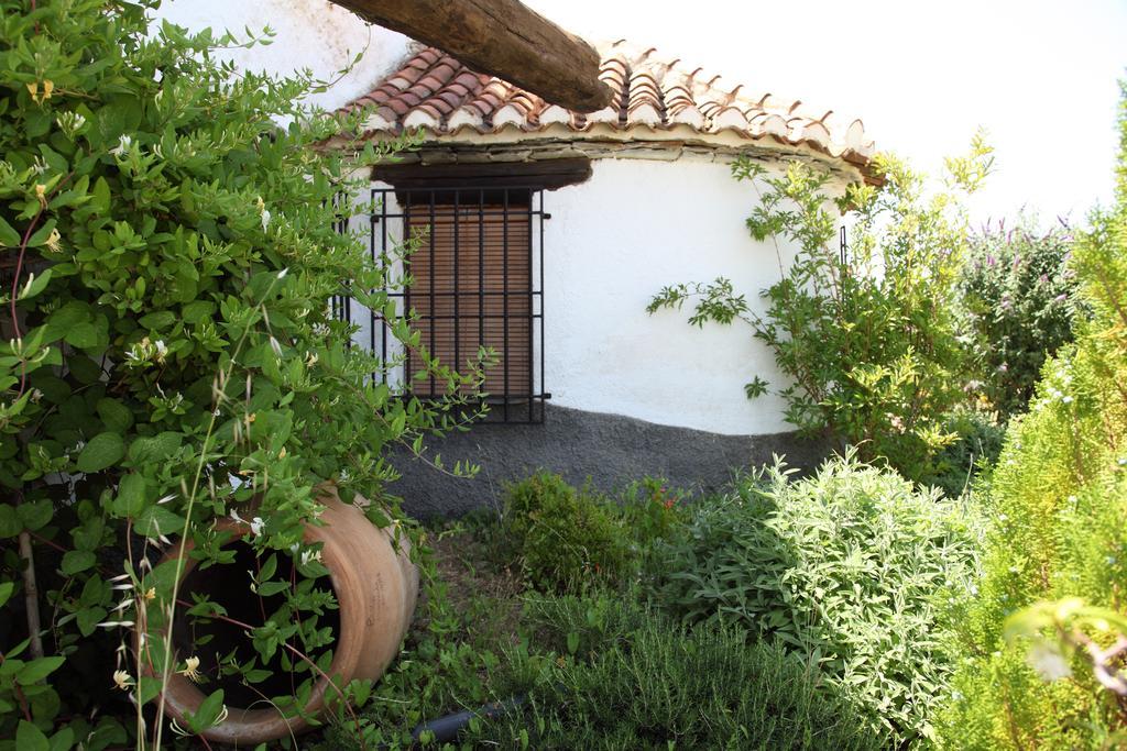 Alcudia de Guadix Cuevas Del Zenete 아파트 외부 사진