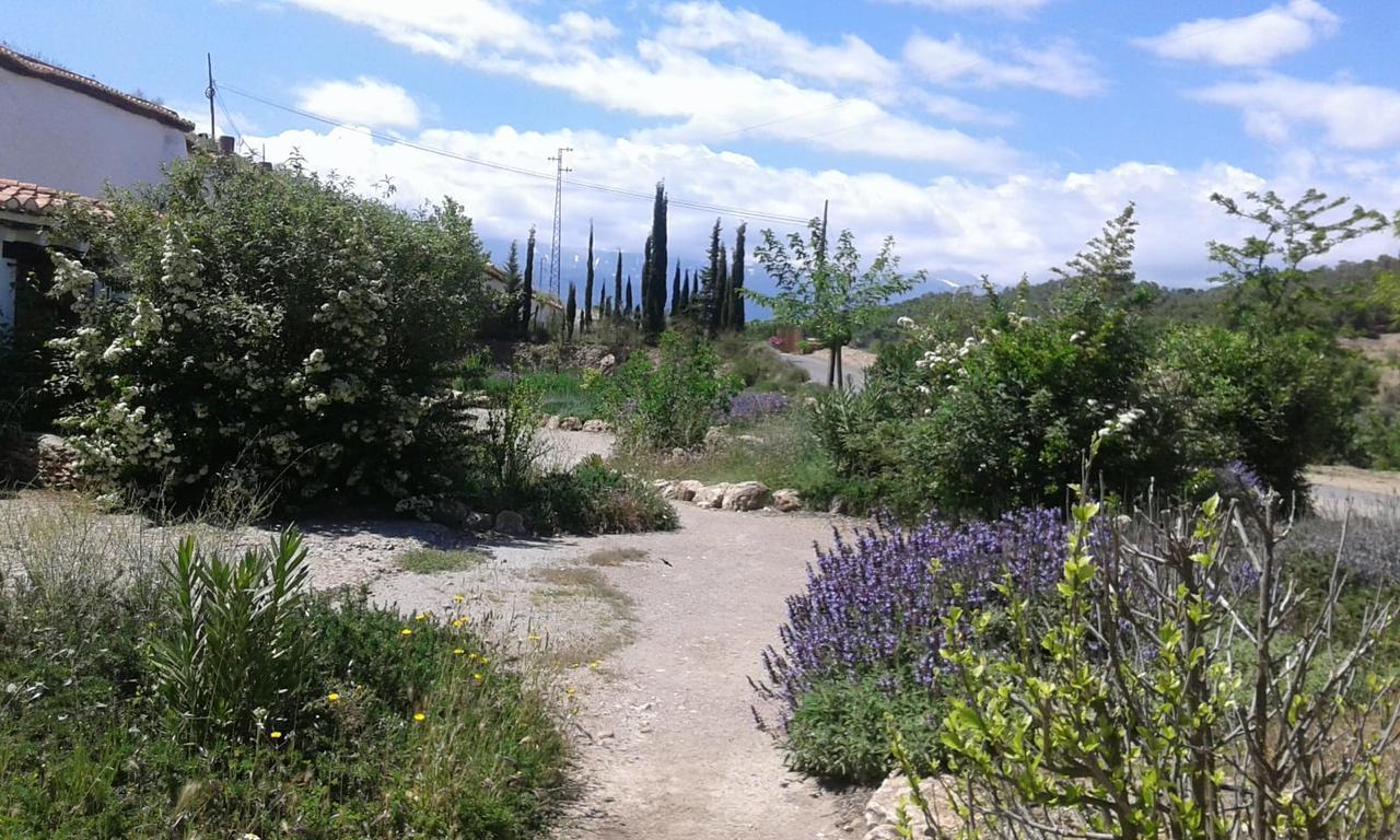 Alcudia de Guadix Cuevas Del Zenete 아파트 외부 사진